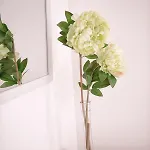 Maçã De Eva Albergue Viana do Castelo