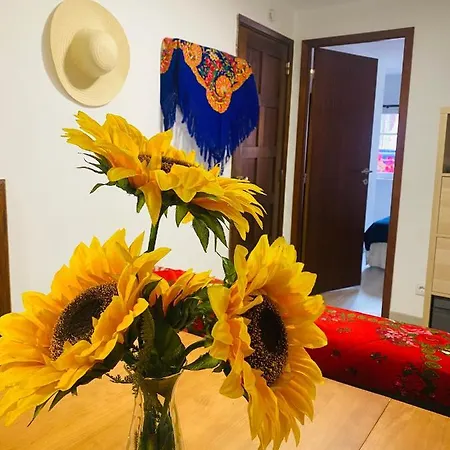 Maçã De Eva Viana do Castelo