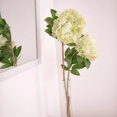 Maca De Eva بيت شباب فيانا دو كاستيلو