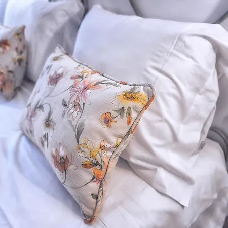 Maca De Eva * 비아나도카스텔로