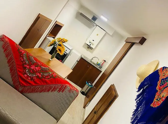 Maca De Eva 호스텔 비아나도카스텔로