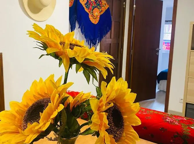 Maca De Eva 비아나도카스텔로