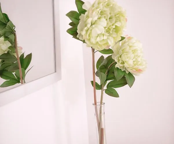 Maca De Eva 호스텔 비아나도카스텔로